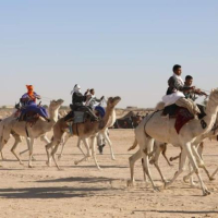 Clôture du 52e Festival international du Sahara de Douz
