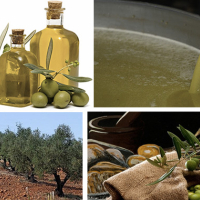 Réunion de la cellule de crise sur les problèmes de l'huile d'olive, vendredi au Parlement