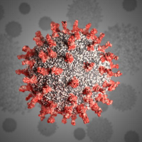 Coronavirus : La chaleur et les rayons du soleil pourraient affaiblir le virus