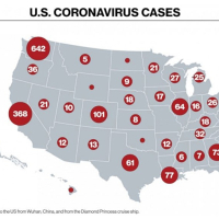Covid-19 - les Etats-Unis : Plus de 200.000 cas en 24h