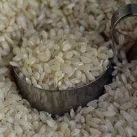 D’importantes quantités de riz, de café et de lait importées par l’OCT, sont avariées
