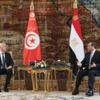 Al-Sissi et Saïed ont convenu de proclamer 2021-2022, année de la culture tuniso-égyptienne