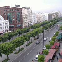 Tunisie : Les motos, les véhicules privés et les moyens de transport urbain intedits de circuler de 19 heures à 5 heures