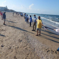 Tunisie : Une chaîne humaine sur toute la bande côtière de la banlieue sud pour dénoncer la pollution du milieu marin