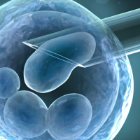 Congélation d’ovocytes : Appel à la préservation de la fertilité des femmes atteintes de maladies cancéreuses