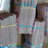 Contrebande : Saisie de marchandises d’une valeur de 463 mille dinars