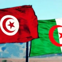 Les professionnels du tourisme appellent à ouvrir les frontières terrestres avec l’Algérie