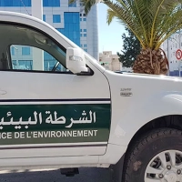 Police environnementale : 177 infractions sanitaires constatées dans 15 arrondissements à Tunis