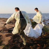 Migration clandestine : Trois des corps des naufragés de Zarzis identifiés