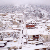 Aïn Draham, couverte d’un épais manteau blanc, attire des milliers de visiteurs