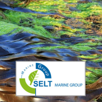SELT Marine Group investira 7 millions d'euros pour l'extension de ses activités en Tunisie