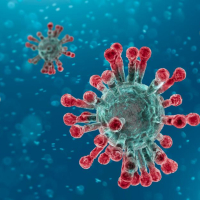 Coronavirus : 7 décès supplémentaires et 239 nouvelles contaminations recensés du 20 au 26 mars 2023