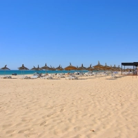 Les plages de Hammamet menacées par "une catastrophe écologique"