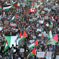 Le Comité de soutien à la Palestine appelle à manifester mercredi prochain