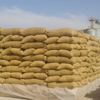 L'association ALERT met en garde contre la poursuite de la crise de l'approvisionnement en céréales