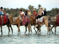 Amélioration de 19% des entrées des touristes italiens en Tunisie