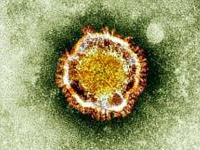 Arabie Saoudite: le coronavirus se propage, le ministre de la Santé démis de ses fonctions