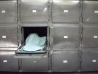 Béja: Le cadavre d’un homme en décomposition rejeté par l’Oued Medjerda