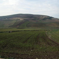 L’Etat récupère 10 ha de terres domaniales agricoles à Béja et trois ha à Bizerte