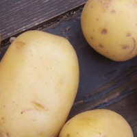 L'organisation de défense du consommateur appelle à boycotter les pommes de terre