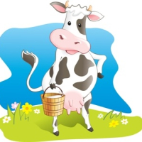 Le lait slovène disponible à partir de cette semaine à 1300 millimes le litre