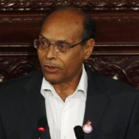 Le président Moncef Marzouki pou un gouvernement restreint
