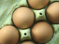 Le prix de l’œuf fixé à 150 millimes à partir du 11 juillet