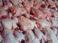 Saisie de 500 kg de viande de poulets impropre à la consommation à la capitale
