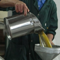 Technique traditionnelle d'extraction d'huile d'olive