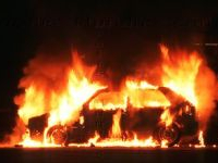 Tozeur: une voiture de police incendiée