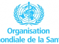 Trois tunisiennes sélectionnées par l’OMS pour leurs efforts dans le domaine de la santé mondiale