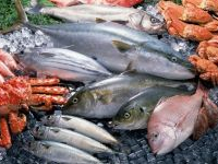 Tunisie: Une marge de bénéfice maximum à appliquer à la vente au détail du poisson