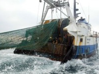 Un bateau militaire libyen tire sur un chalutier tunisien près des côtes de Zarzis