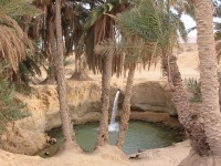 Un don de la BM d'un montant de 5,76 Millions de dollars au profit de six oasis en Tunisie